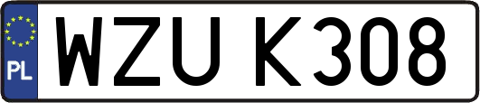 WZUK308