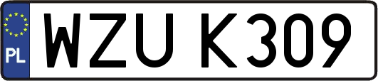 WZUK309