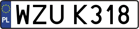 WZUK318