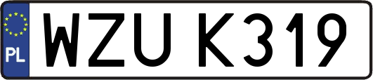 WZUK319