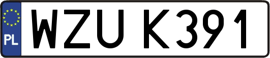 WZUK391