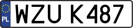 WZUK487