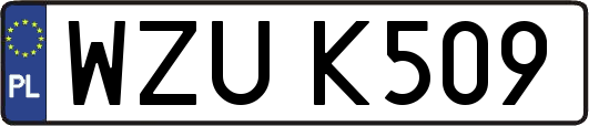 WZUK509