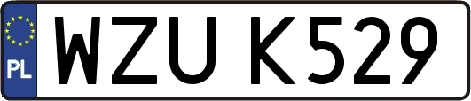 WZUK529