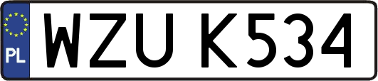 WZUK534