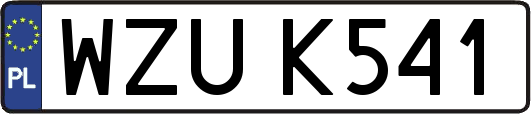 WZUK541