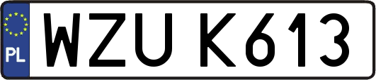 WZUK613