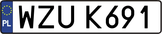 WZUK691