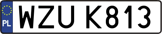 WZUK813