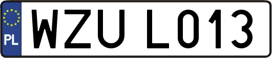 WZUL013
