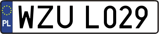 WZUL029