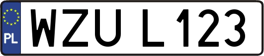 WZUL123