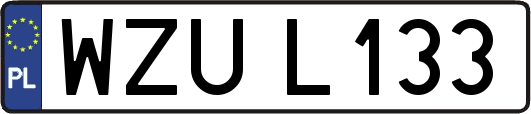 WZUL133