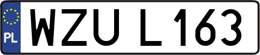 WZUL163