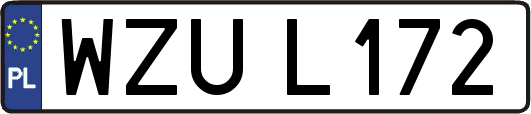 WZUL172