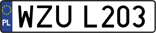 WZUL203