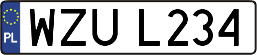 WZUL234