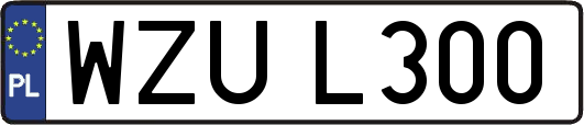WZUL300