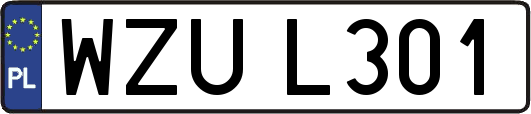 WZUL301