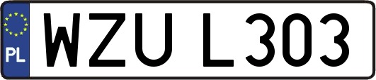 WZUL303