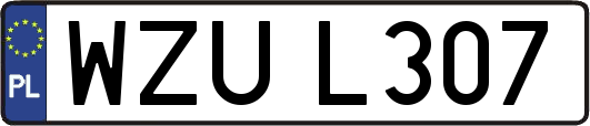 WZUL307