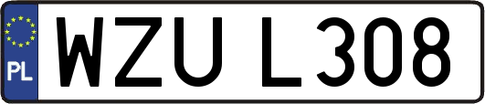 WZUL308