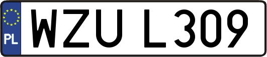 WZUL309