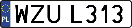 WZUL313