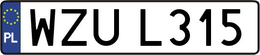 WZUL315