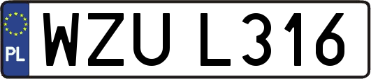 WZUL316