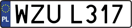 WZUL317