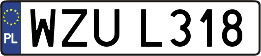 WZUL318