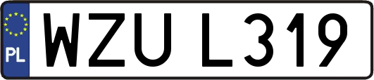 WZUL319