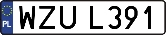 WZUL391