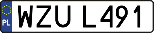 WZUL491