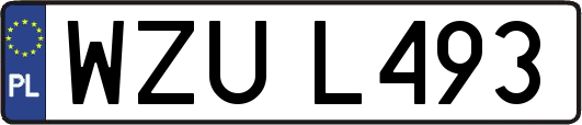 WZUL493