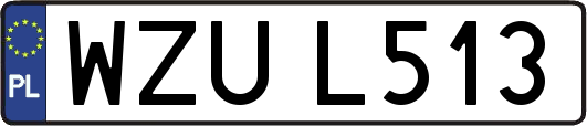 WZUL513