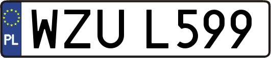 WZUL599