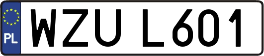 WZUL601