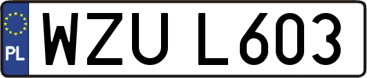 WZUL603