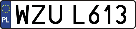 WZUL613