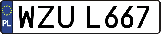 WZUL667