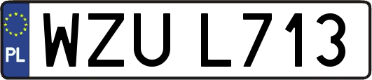 WZUL713