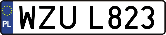 WZUL823