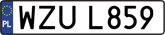 WZUL859