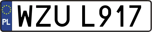 WZUL917