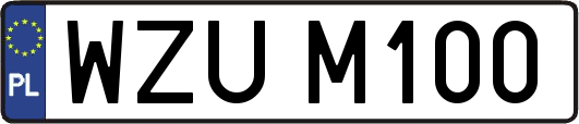 WZUM100