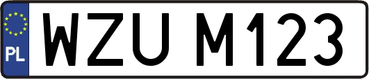 WZUM123