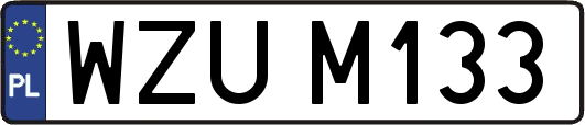 WZUM133