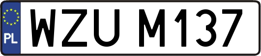 WZUM137
